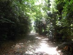 20110716_120632.jpg