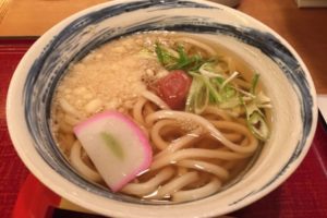 kineya 201511 sanuki udon