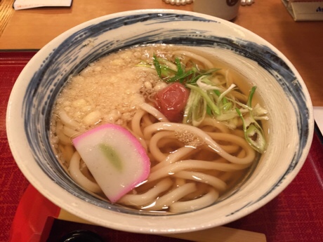 kineya 201511 sanuki udon