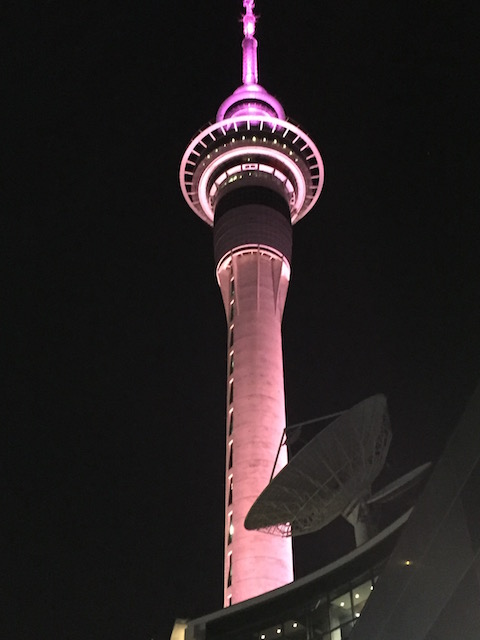 sky tower auckland violet