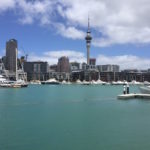 auckland city from north harbour