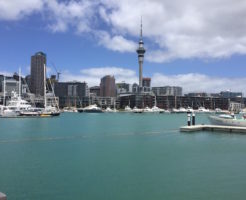auckland city from north harbour