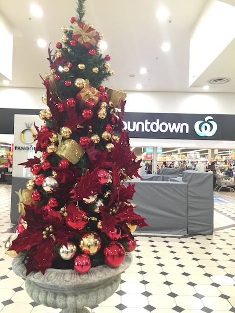 countdown newmarket tree