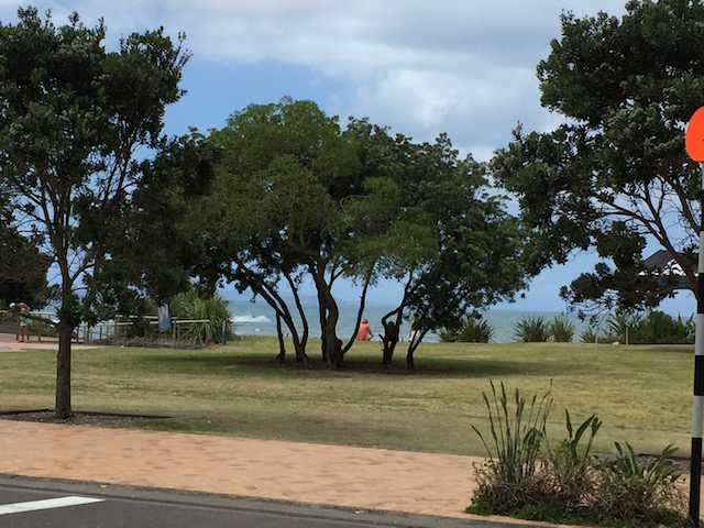 orewa nz auckland