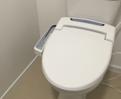 bidet in nz