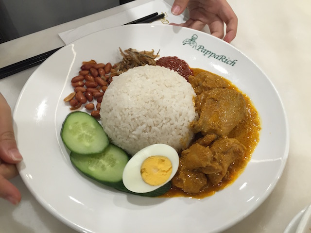 papparich chicken curry2