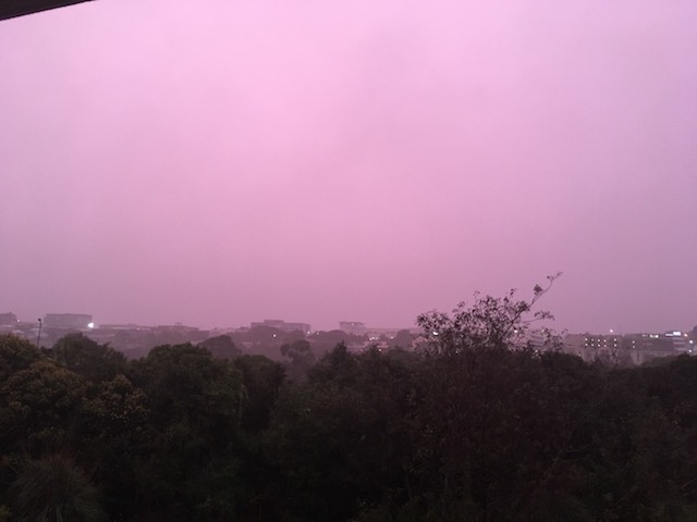 20180201 auckland pink sky