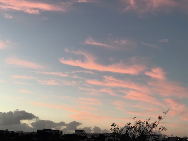 20180202 auckland sky