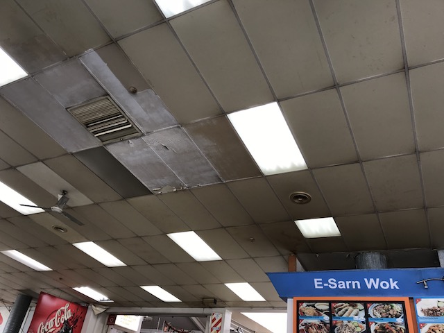 maruten ramen 201803 ceiling