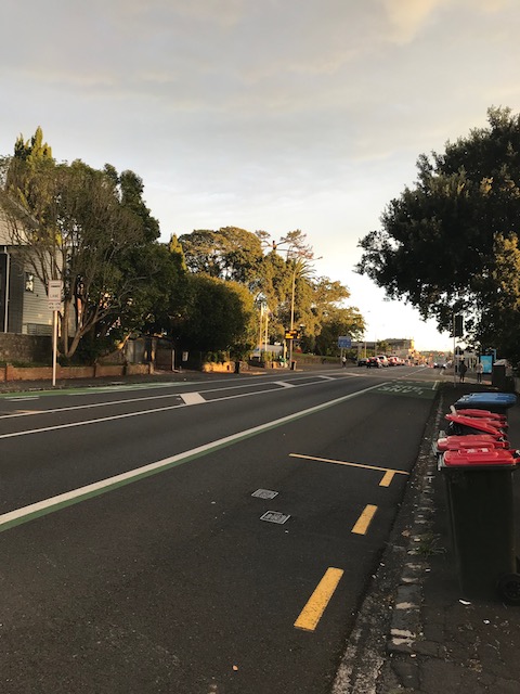 panda express noodle 201803-2 dominion road