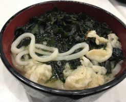 hayama 201804 udon