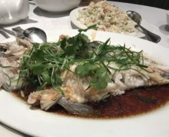 sunworld 201804 steamed blue cod