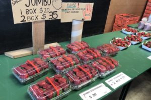 strawberry farm 201811