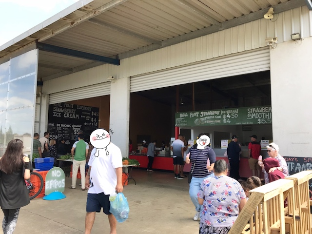 strawberry farm 201811 entrance