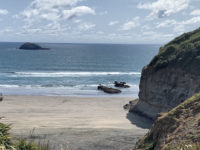 muriwai beach 202001