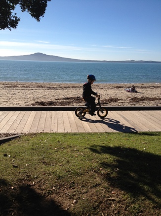 auckland 201206 kohimarama beach