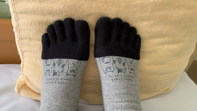 daneko illness 2020 socks