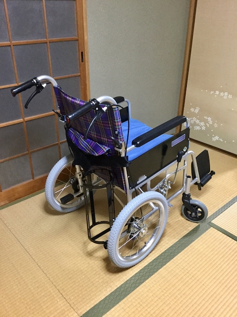 daneko illness 2020 wheelchair2