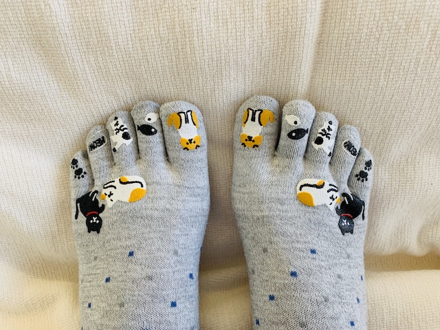 daneko illness 2020 cat socks