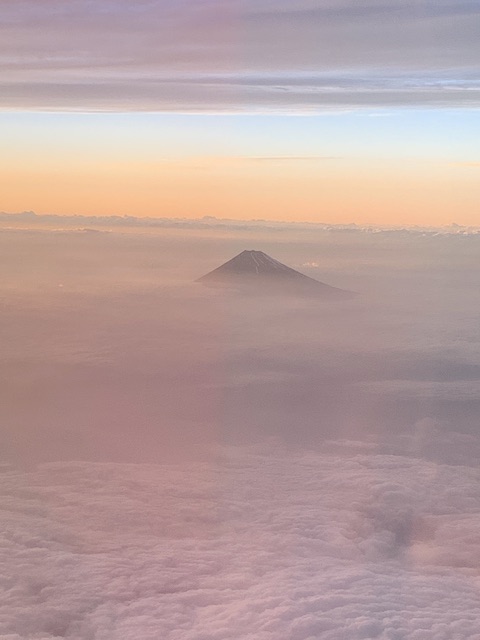 mt fuji 202006 ana