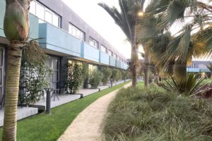 isolation hotel 2020 garden2