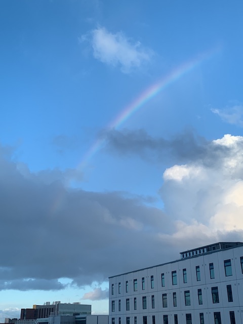 nz isolation hotel day12 rainbow