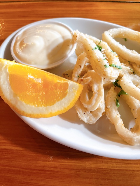 vivace 202210 calamari