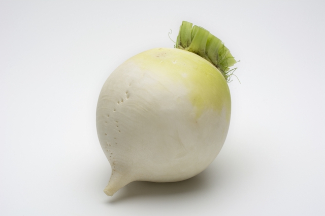 daikon 202211 daneko