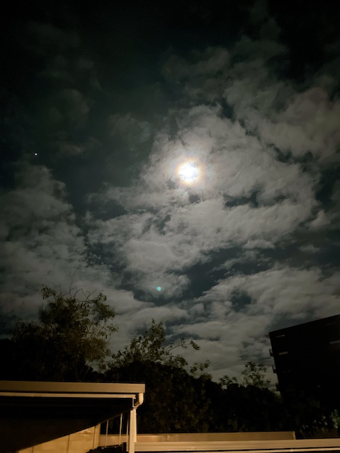 daneko lockout 202210 moon