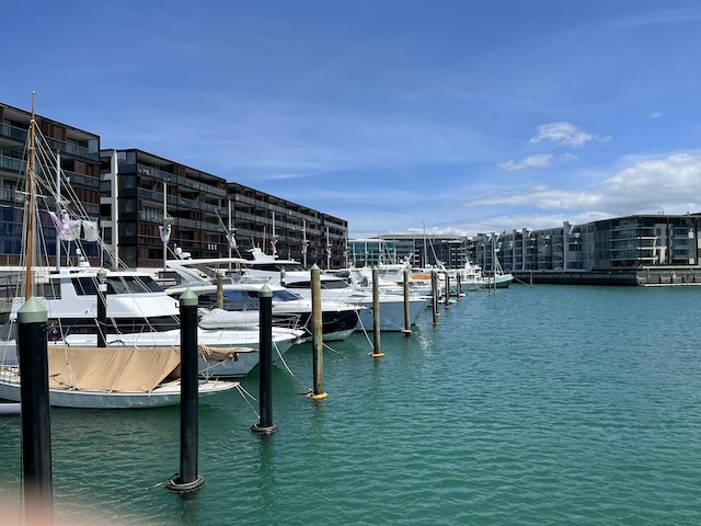 viaduct harbour 202210 view