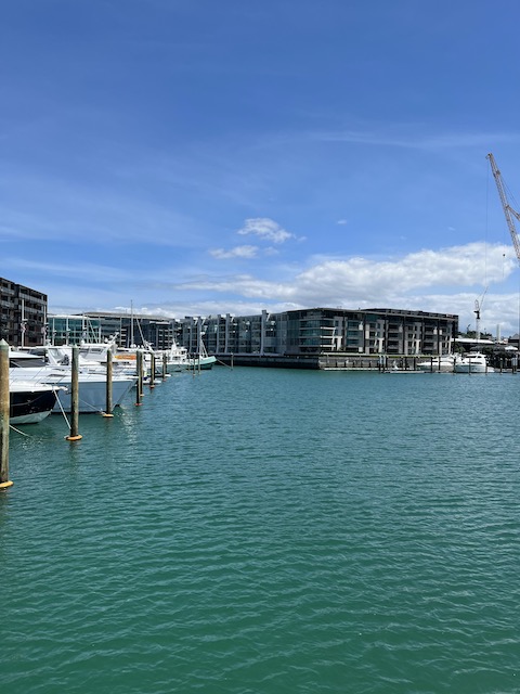 viaduct harbour 202210 walking